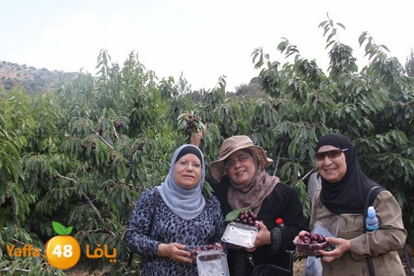 bayareq re7la shamal 0612 (69).JPG